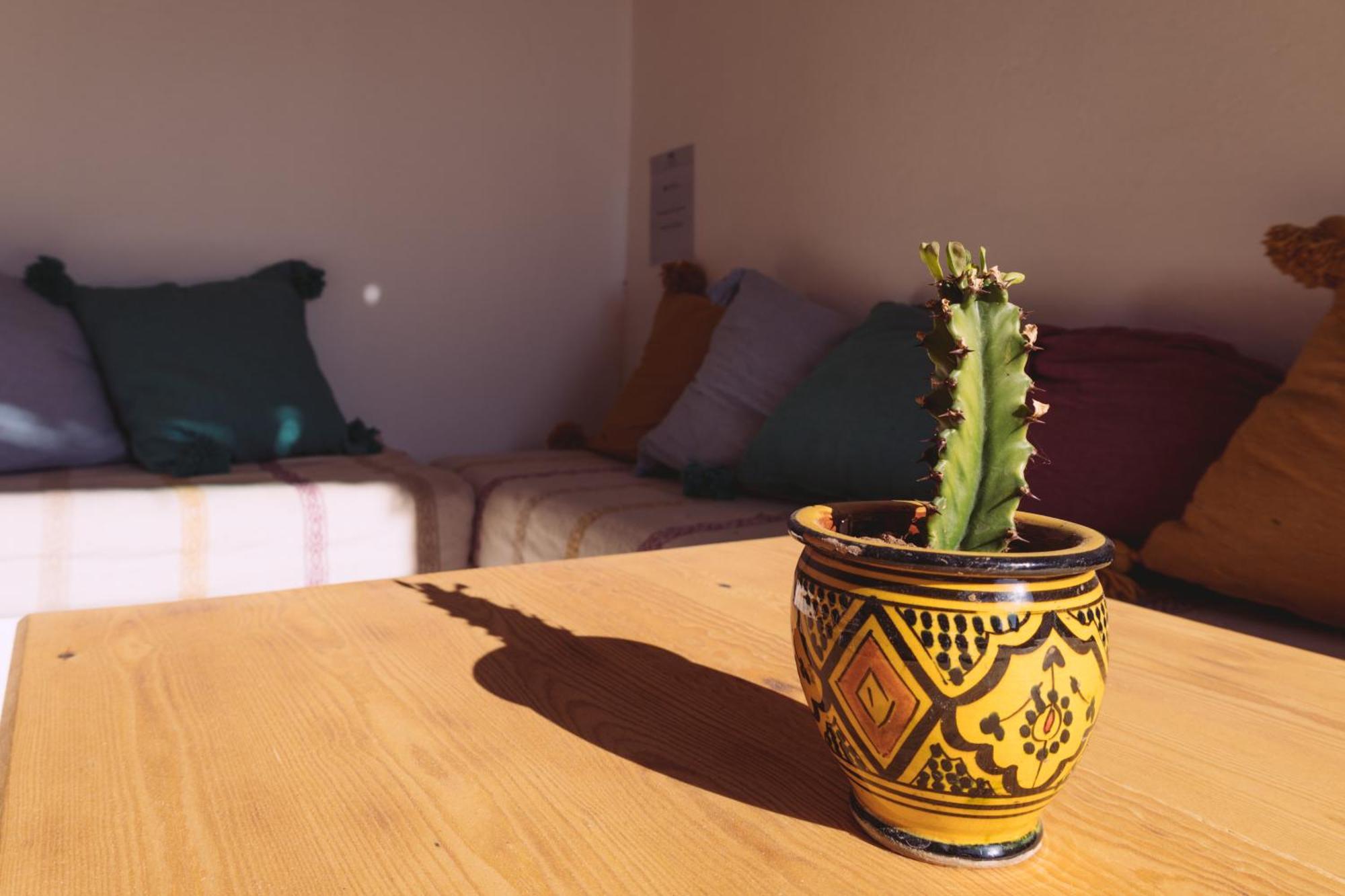 House Of Omm Bed and Breakfast Sidi Kaouki Eksteriør billede
